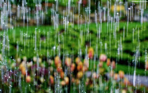 Splashes Of Rain On A Desktop Wallpaper