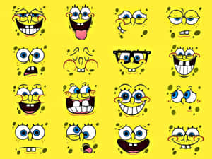 Sponge Bob Expressions Collage.jpg Wallpaper