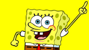 Spongebob And His Pals Wallpaper