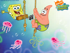 Spongebob Squarepants Wallpapers Wallpaper