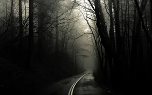 Spooky Dark Road Wallpaper