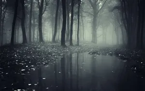 Spooky Foggy Forest Wallpaper