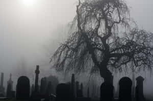 Spooky Halloween Night In A Haunted Graveyard Wallpaper