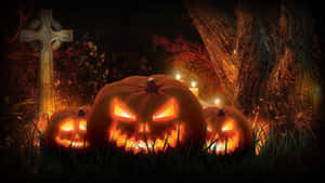 Spooky Halloween Pumpkins Night Scene Wallpaper