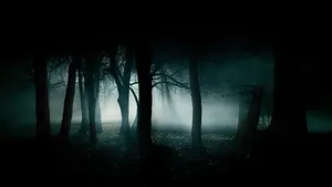 Spooky Shadows Fill The Haunted Forests Wallpaper