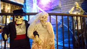 Spooky Skeleton Costumes For Halloween Fun! Wallpaper