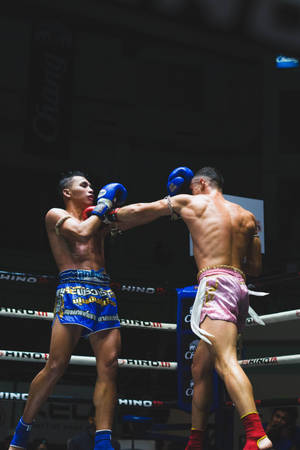 Sport Muay Thai Fighters Wallpaper