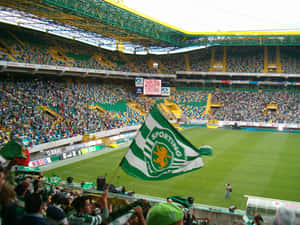Sporting Cp Wallpaper