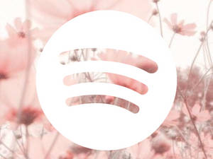 Spotify Pink Flowers Wallpaper