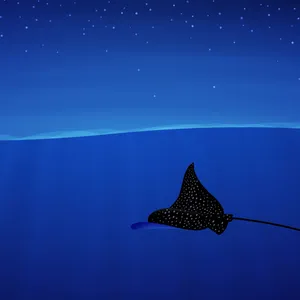 Spotted Eagle Ray Night Swim Wallpaper