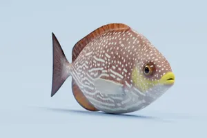 Spotted Rabbitfish Profile Wallpaper