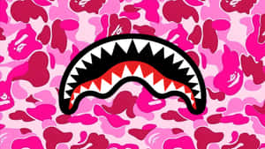 Sprayground Pink Camo Shark Wallpaper