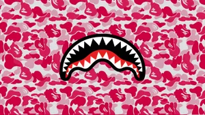 Sprayground Pink Camo Shark Backpack Wallpaper