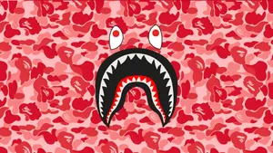 Sprayground Red Camo Shark Wallpaper