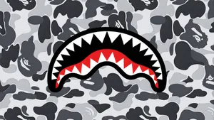 Sprayground Shark Mouth Backpack Wallpaper