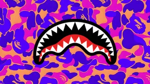 Sprayground Shark Mouth Design Wallpaper