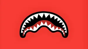 Sprayground Shark Mouth Design Wallpaper