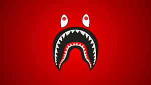 Sprayground Shark Mouth Design Wallpaper