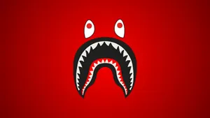 Sprayground Shark Mouth Design Wallpaper