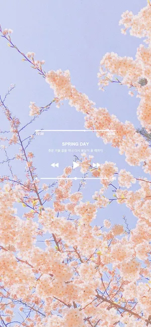 Spring Aesthetic Playlist Wallpaper