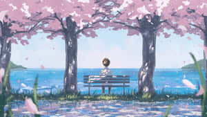 Spring Anime Cherry Blossom Scene Wallpaper