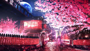 Spring Anime Cherry Blossom Scene Wallpaper