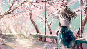 Spring Anime Cherry Blossom Scene Wallpaper