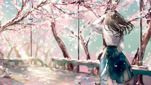 Spring Anime Cherry Blossom Scene Wallpaper