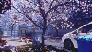 Spring Anime Cherry Blossom Scene Wallpaper