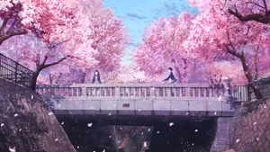 Spring Anime Cherry Blossom Scene Wallpaper