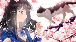Spring Anime Girl With Cats Wallpaper