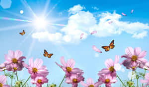 Spring Butterflies Dancing In Nature Wallpaper