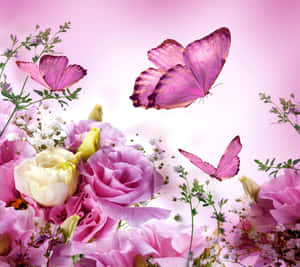 Spring Butterflies Dancing In The Garden Wallpaper