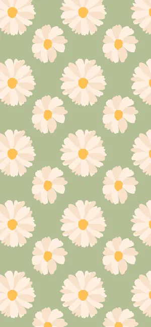 Spring Daisy Iphone Green Background Wallpaper