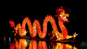 Spring Festival Dragon Lantern Wallpaper