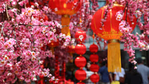 Spring Festival Lanterns And Blossoms Wallpaper