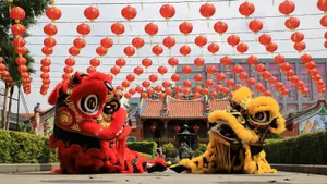 Spring Festival Lion Dance Wallpaper