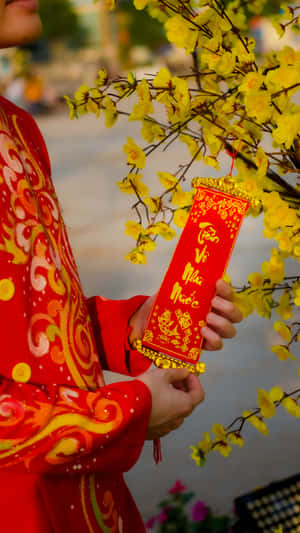 Spring Festival Red Envelope Wallpaper