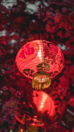 Spring Festival Red Lantern Wallpaper