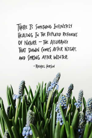 Spring Flowers Blooming In A Vibrant Garden Wallpaper