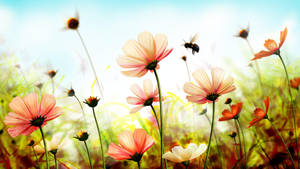 Spring Flowers Digital Art Wallpaper