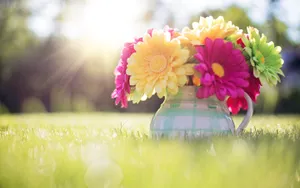 Spring Flowers In Vase Wallpaper