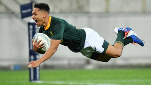 Springbok Rugby Herschel Jantjies Wallpaper