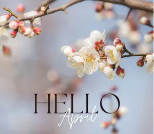 Springtime Blossoms Greeting Wallpaper