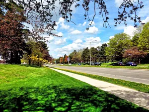 Springtimein Waterloo Canada Wallpaper