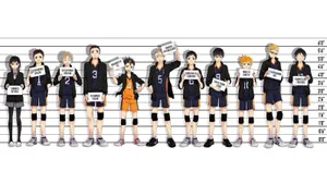 Squad Goals - Haikyuu Captains United Wallpaper