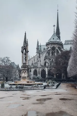Square Jean Xxiii Behind Notre Dame Cathedral Wallpaper