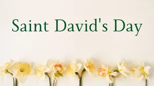 St David's Day Wallpaper