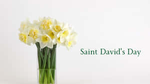 St David's Day Wallpaper