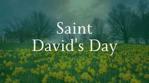 St David's Day Wallpaper